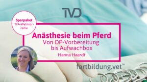 Anästhesie beim Pferd - von OP-Vorbereitung bis Aufwachbox