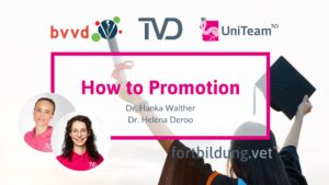 How to Promotion