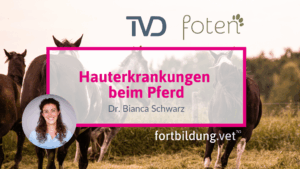 Hauterkrankungen beim Pferd