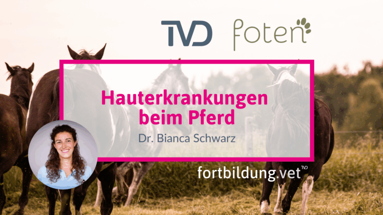 fortbildung.vet Titelbild