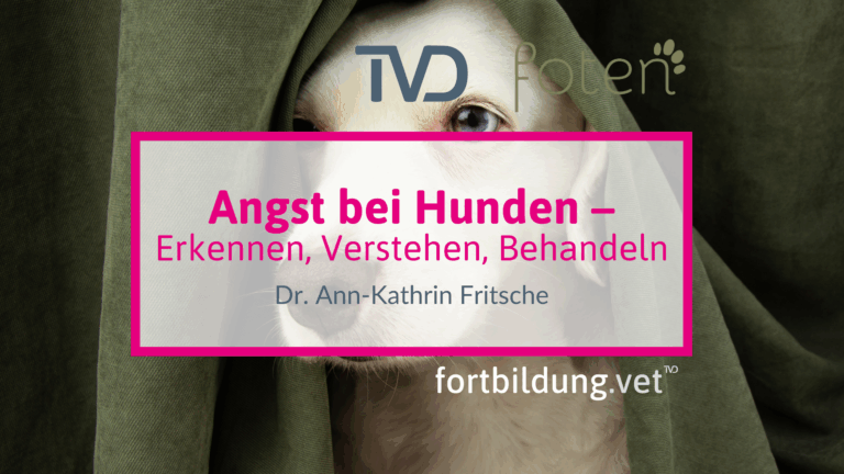 fortbildung.vet Titelbild