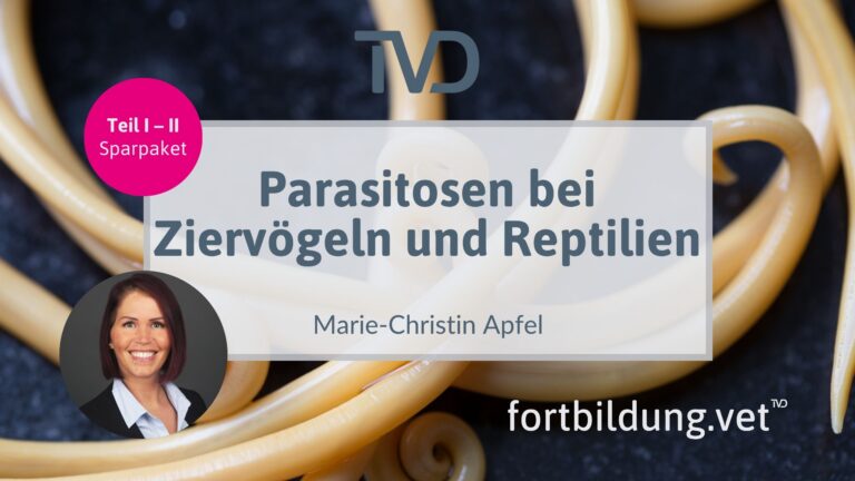 fortbildung.vet Titelbild