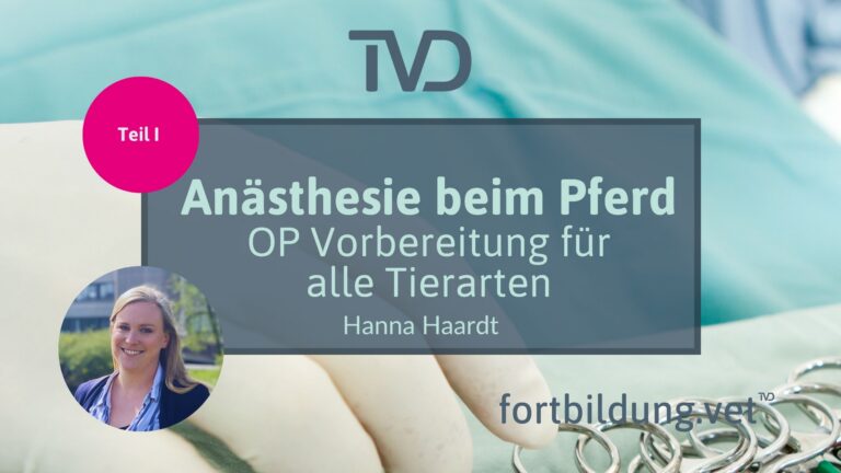 fortbildung.vet Titelbild