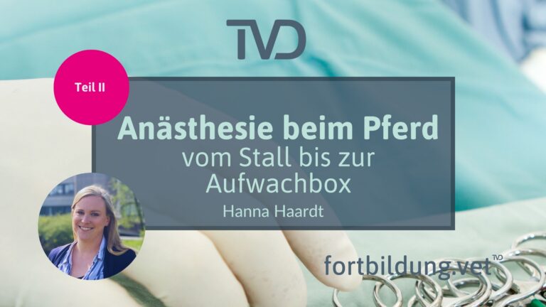 fortbildung.vet Titelbild