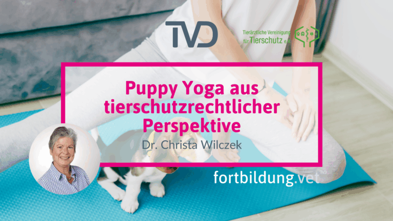 fortbildung.vet Titelbild