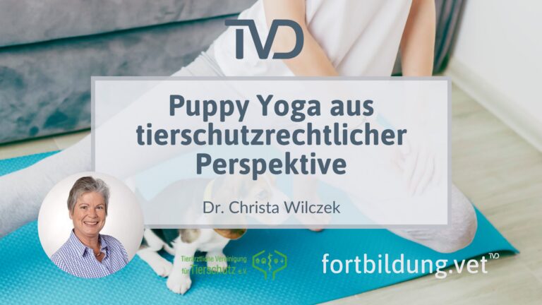 fortbildung.vet Titelbild