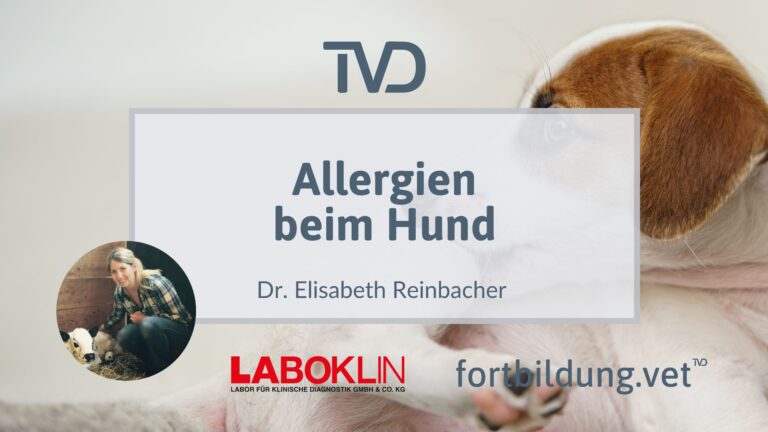 fortbildung.vet Titelbild