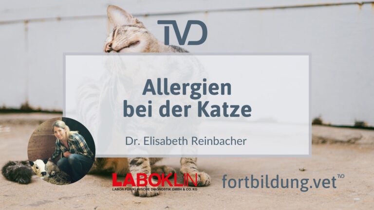 fortbildung.vet Titelbild