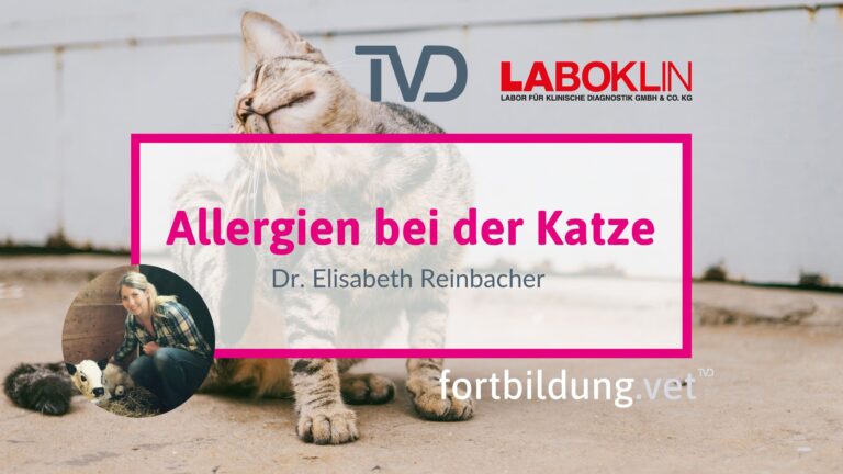 fortbildung.vet Titelbild