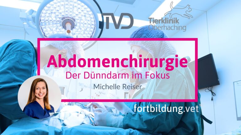 fortbildung.vet Titelbild