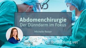 Abdomenchirurgie