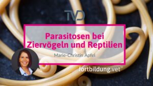 Parasitosen bei Ziervögeln und Reptilien
