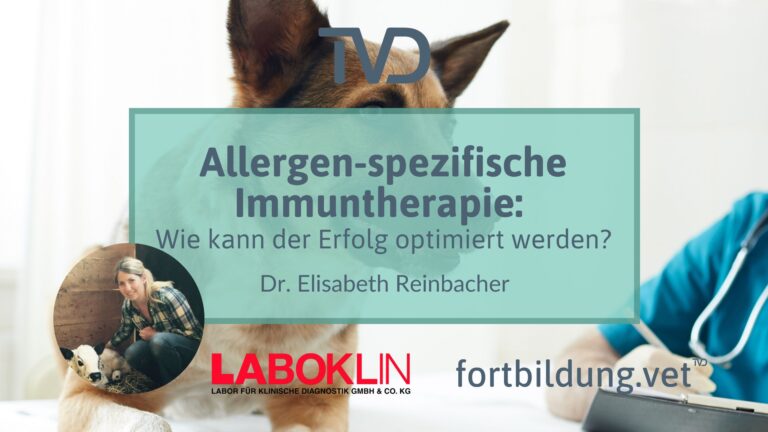 fortbildung.vet Titelbild