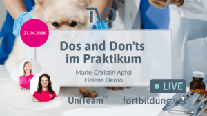 Dos and Don'ts im Praktikum