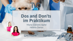Dos and Don'ts im Praktikum
