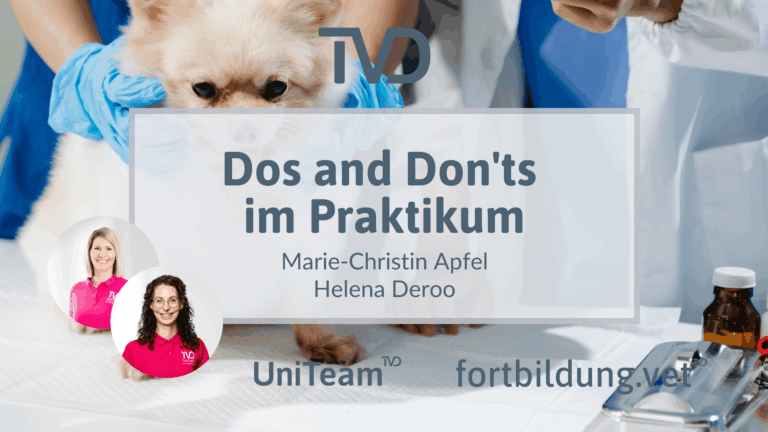 fortbildung.vet Titelbild