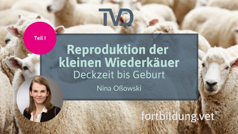 fortbildung.vet Titelbild