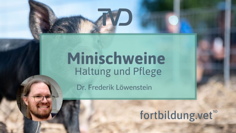 fortbildung.vet Titelbild