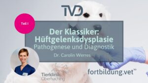 Der Klassiker: Hüftgelenksdysplasie - Pathogenese und Diagnostik"