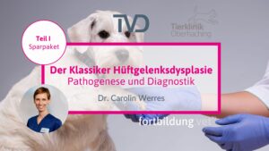 Der Klassiker Hüftgelenksdysplasie - Pathogenese und Diagnostik"