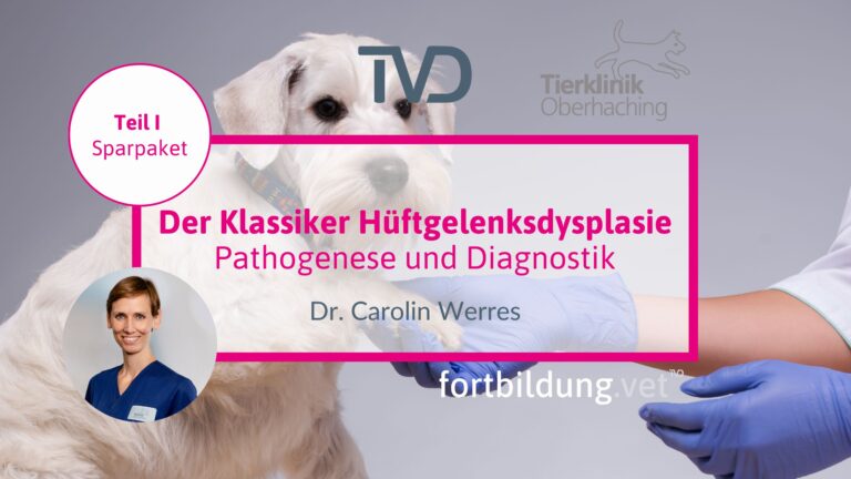 fortbildung.vet Titelbild