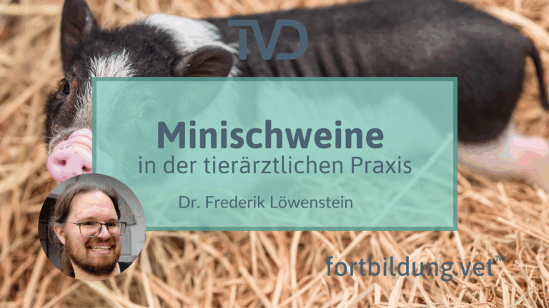 fortbildung.vet Titelbild
