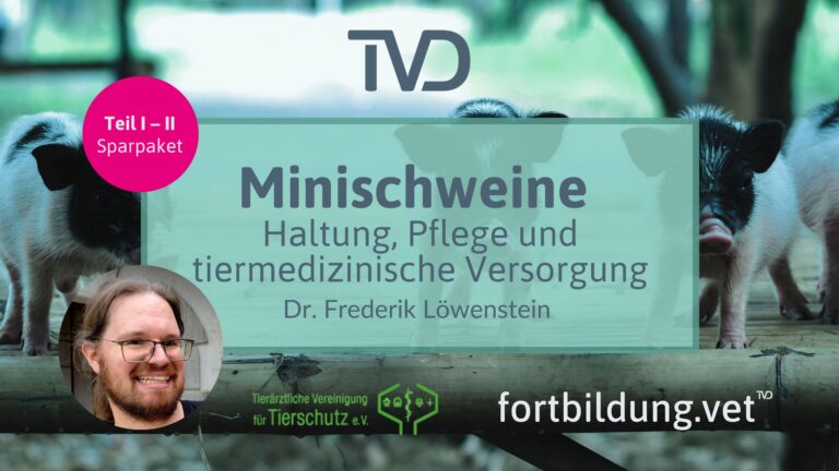 fortbildung.vet Titelbild