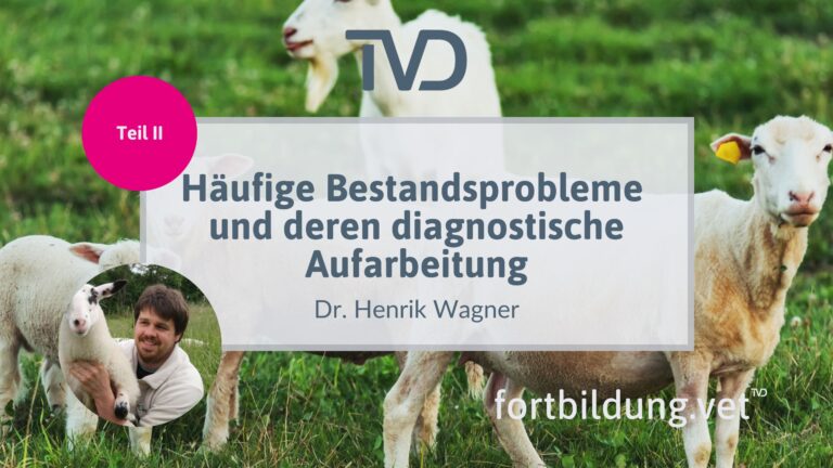 fortbildung.vet Titelbild