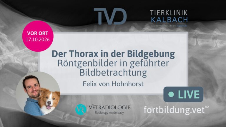 fortbildung.vet Titelbild