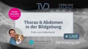 Thorax & Abdomen in der Bildgebung