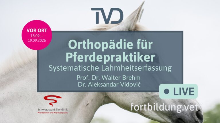 fortbildung.vet Titelbild