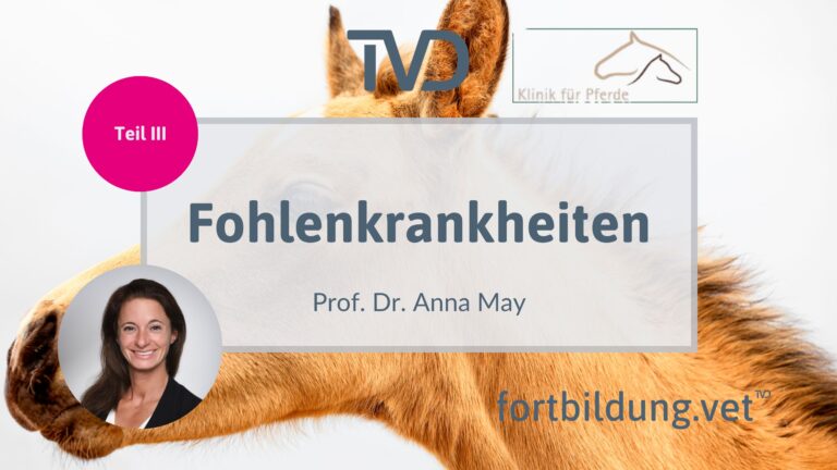 fortbildung.vet Titelbild