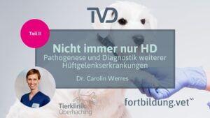 Nicht immer nur HD