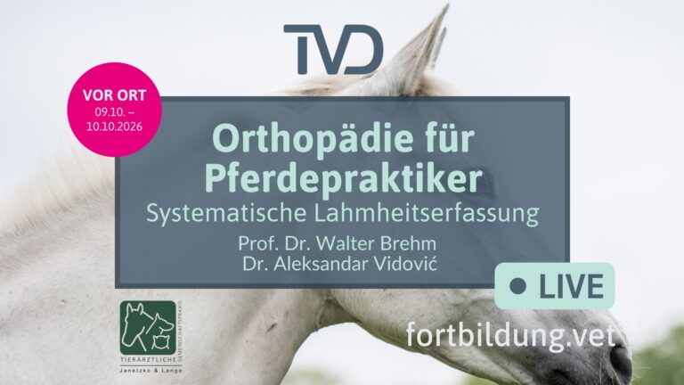 fortbildung.vet Titelbild