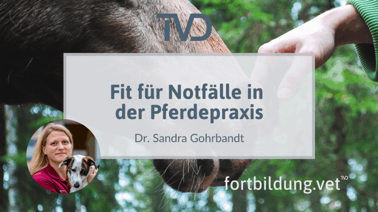 fortbildung.vet Titelbild