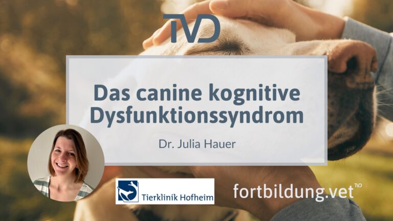 fortbildung.vet Titelbild