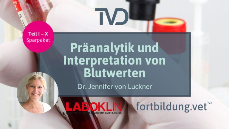 fortbildung.vet Titelbild