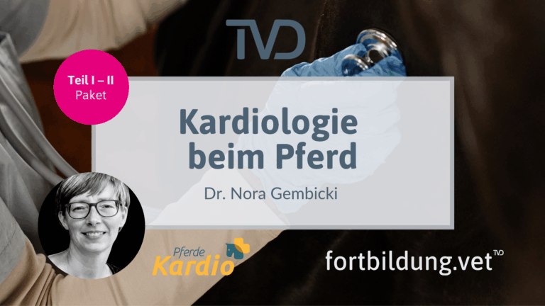fortbildung.vet Titelbild