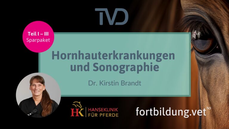 fortbildung.vet Titelbild