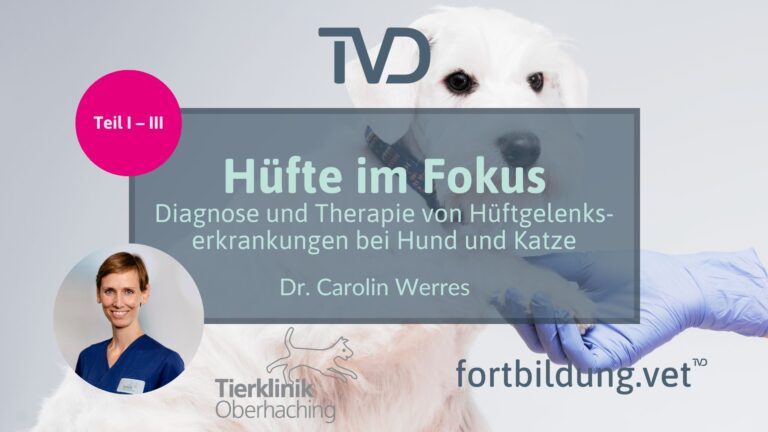 fortbildung.vet Titelbild
