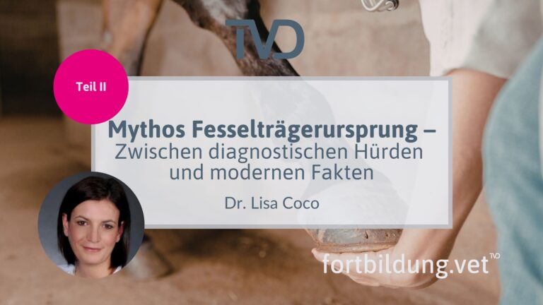 fortbildung.vet Titelbild