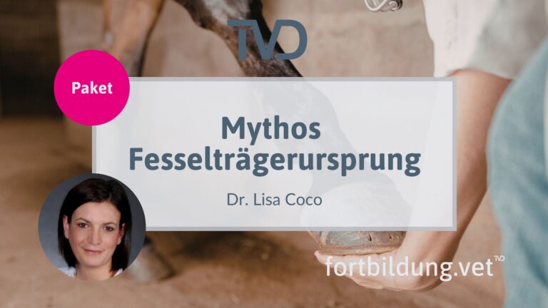 fortbildung.vet Titelbild