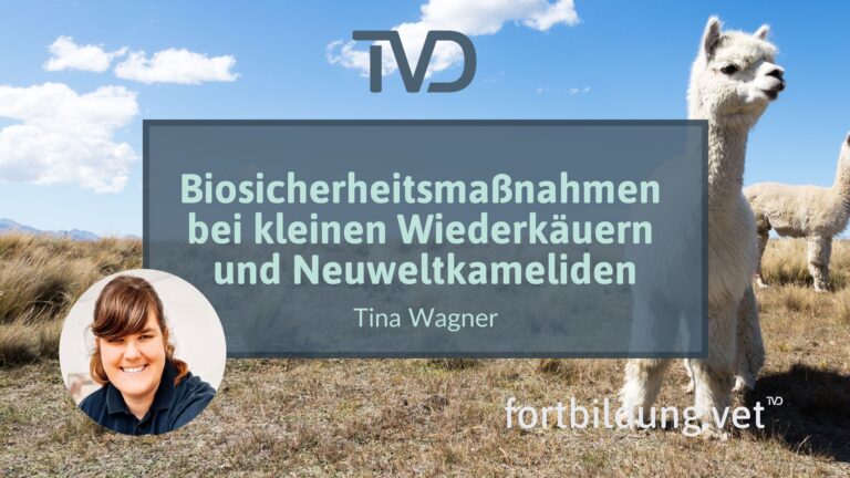 fortbildung.vet Titelbild