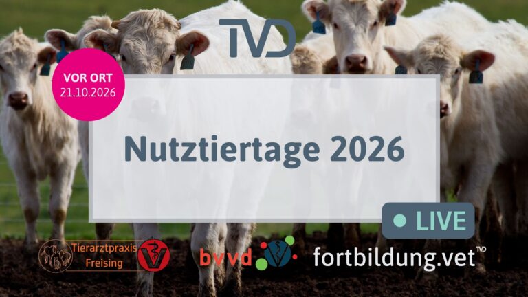 fortbildung.vet Titelbild