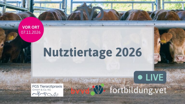 fortbildung.vet Titelbild
