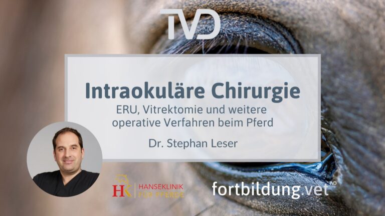 fortbildung.vet Titelbild
