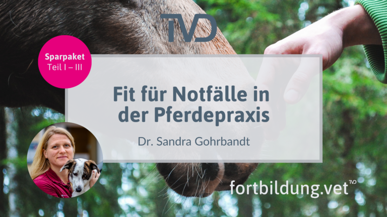fortbildung.vet Titelbild