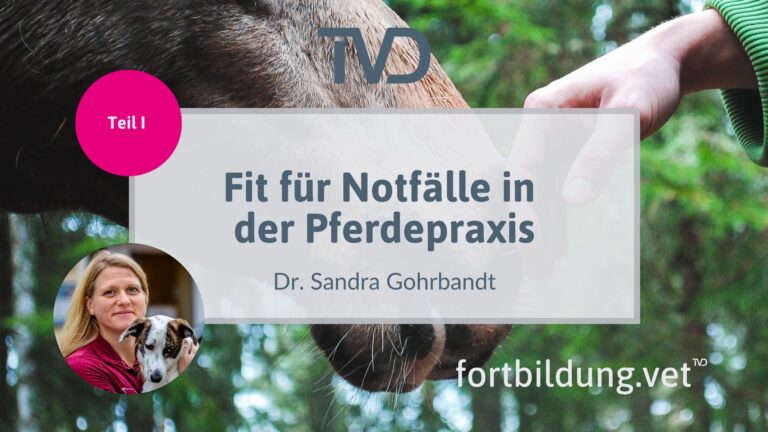 fortbildung.vet Titelbild