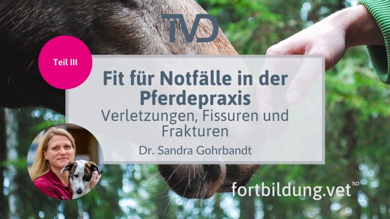 fortbildung.vet Titelbild