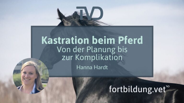 fortbildung.vet Titelbild